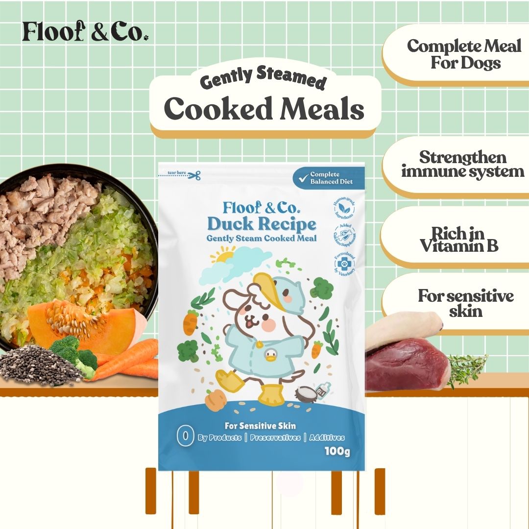 Dog Cooked Meals - Single Pack 100g