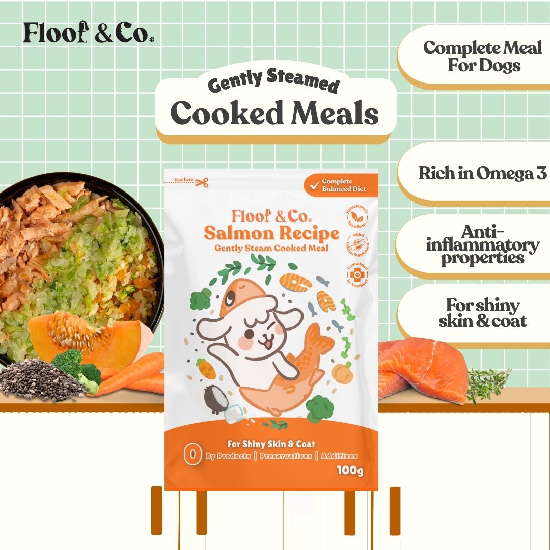 Dog Cooked Meals - Single Pack 100g