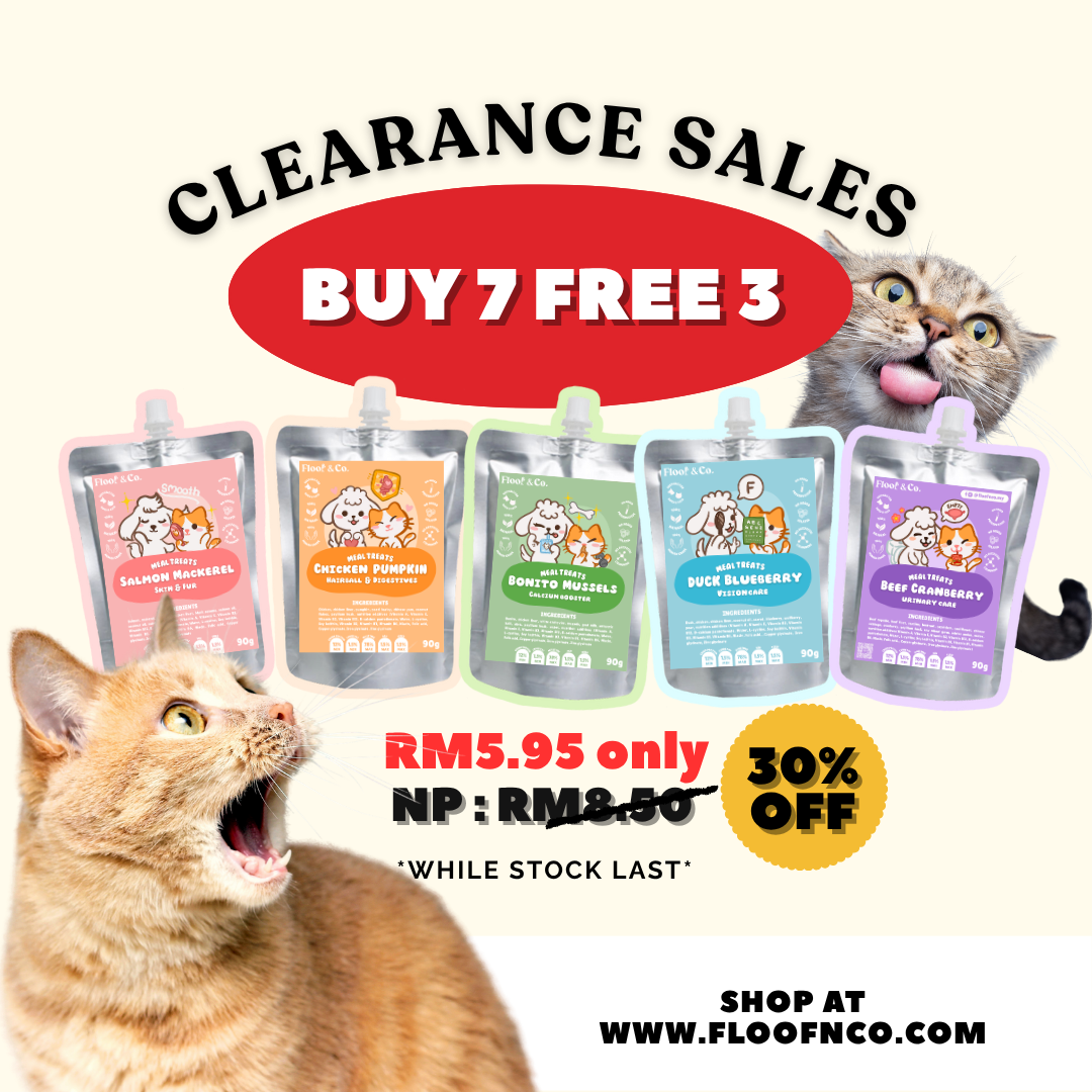 Lickables Clearance Sales 7 + 3