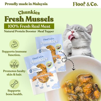 Chunkies - Single Protein Wet Treats 40g