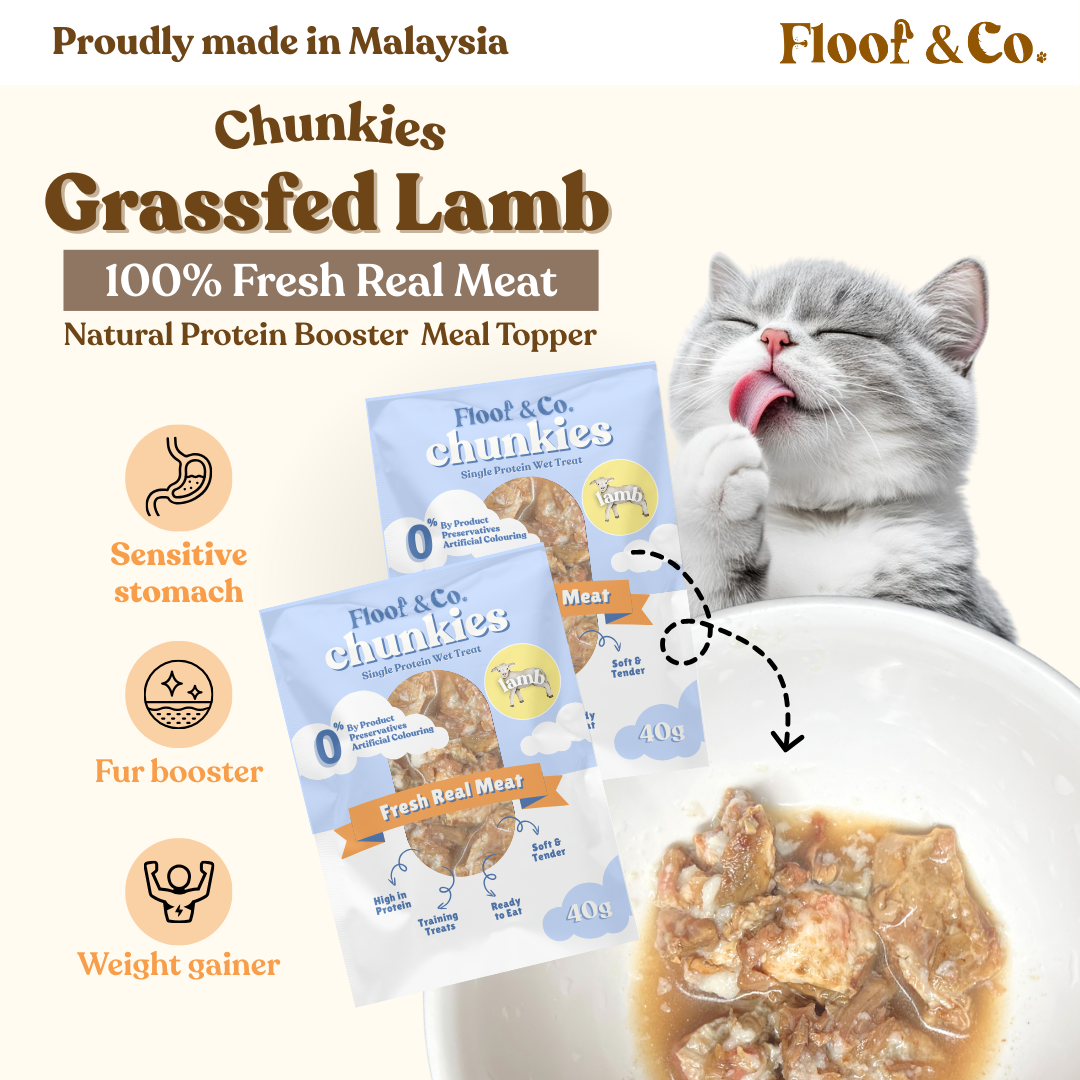 Chunkies - Single Protein Wet Treats 40g