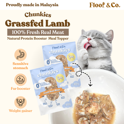 Chunkies - Single Protein Wet Treats 40g