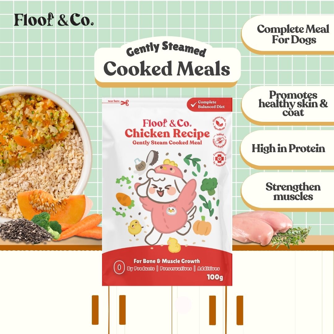 Dog Cooked Meals - Single Pack 100g