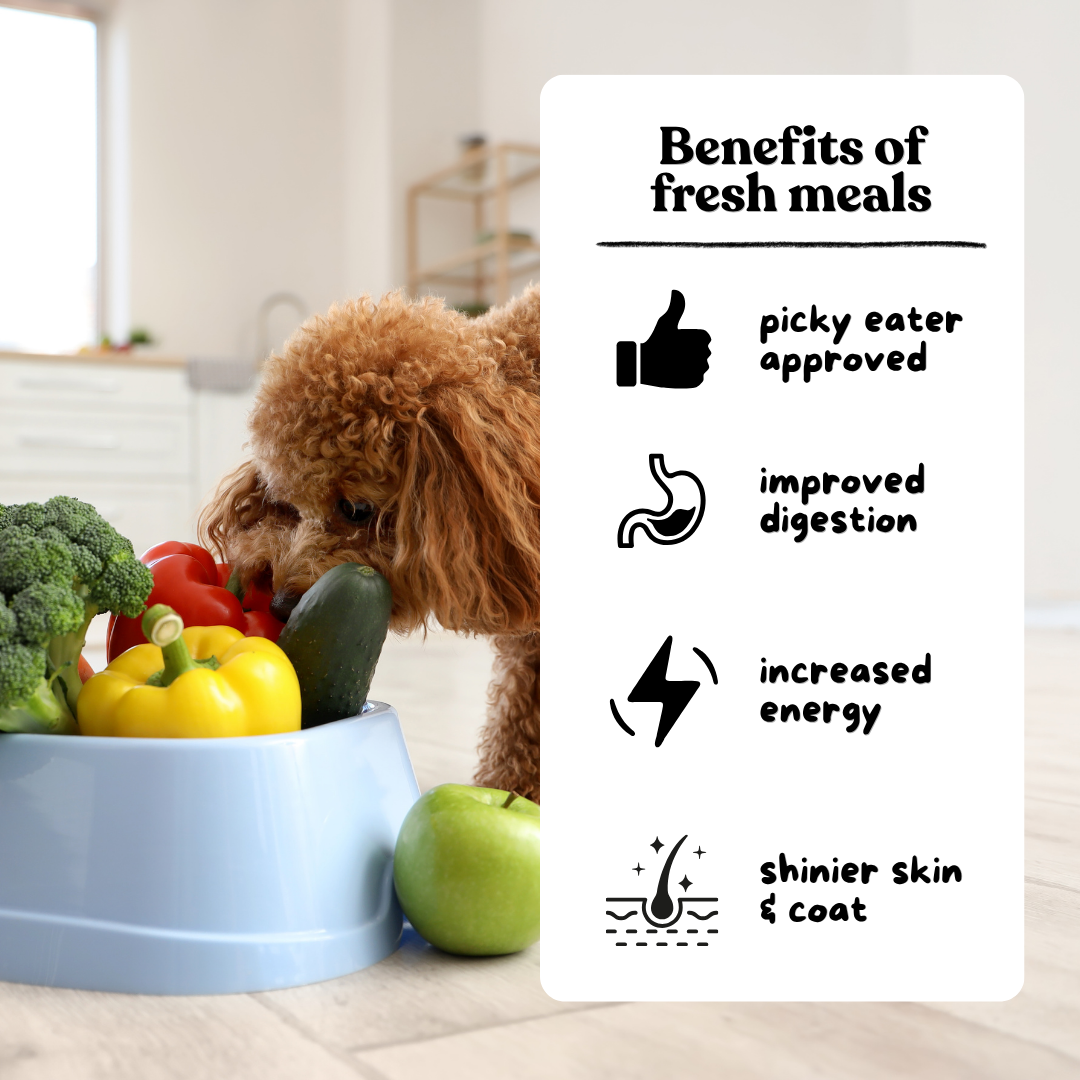Dog Cooked Meals - 7 Pack Bundle Deals 0.7kg Mix & Match