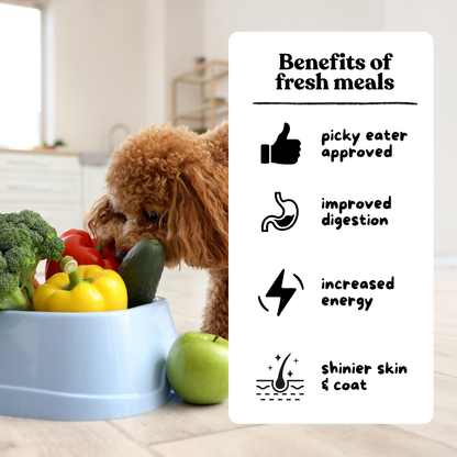 Dog Cooked Meals - 7 Pack Bundle Deals 0.7kg Mix & Match