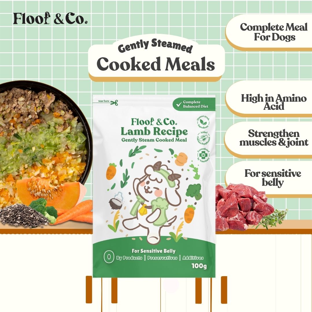 Dog Cooked Meals - Single Pack 100g